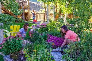 Crested-Butte-Landscaping---flower-garden