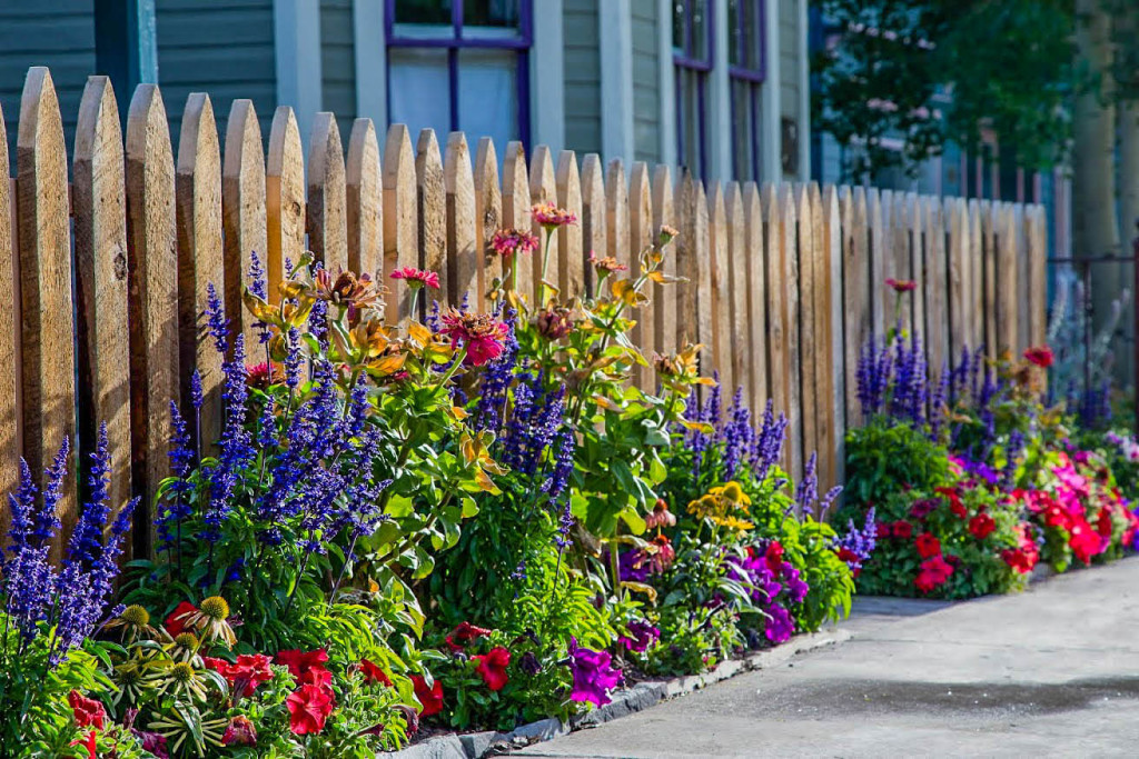 Crested-Butte-Landscaping—Flower Gardens on Elk