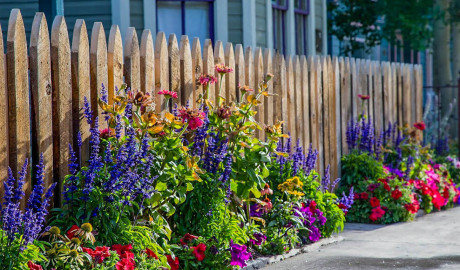 Crested-Butte-Landscaping—Flower Gardens on Elk