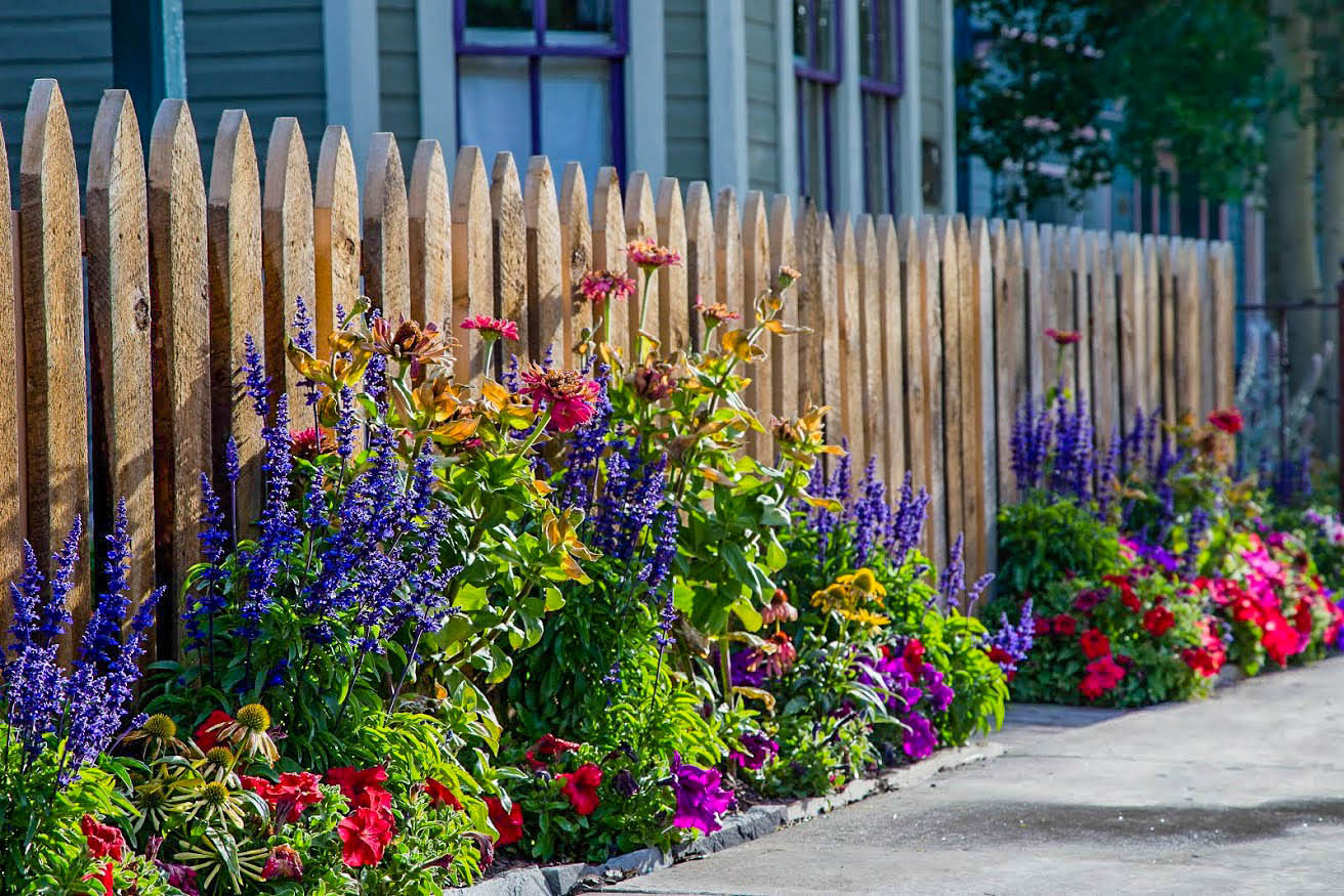 Crested-Butte-Landscaping---Flowers