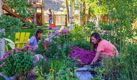 Crested Butte Landscaping Flower-gardens