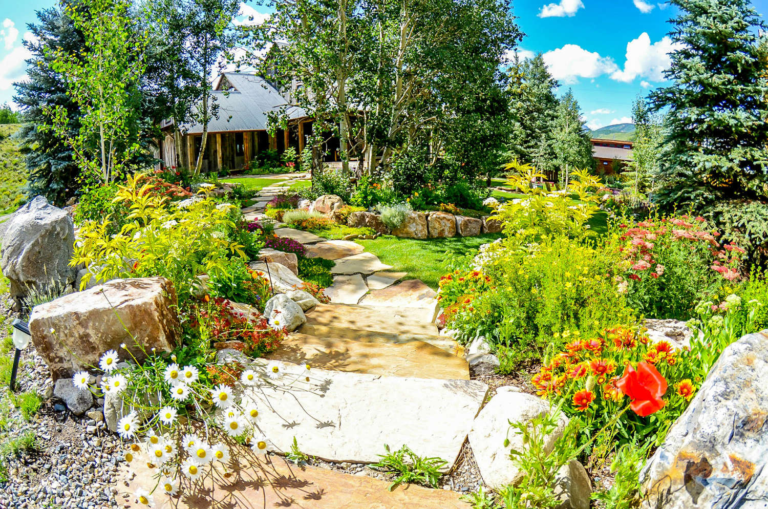 Crested Butte Landscaping - Best Landscaper