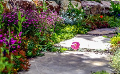 Crested Butte Landscape Design