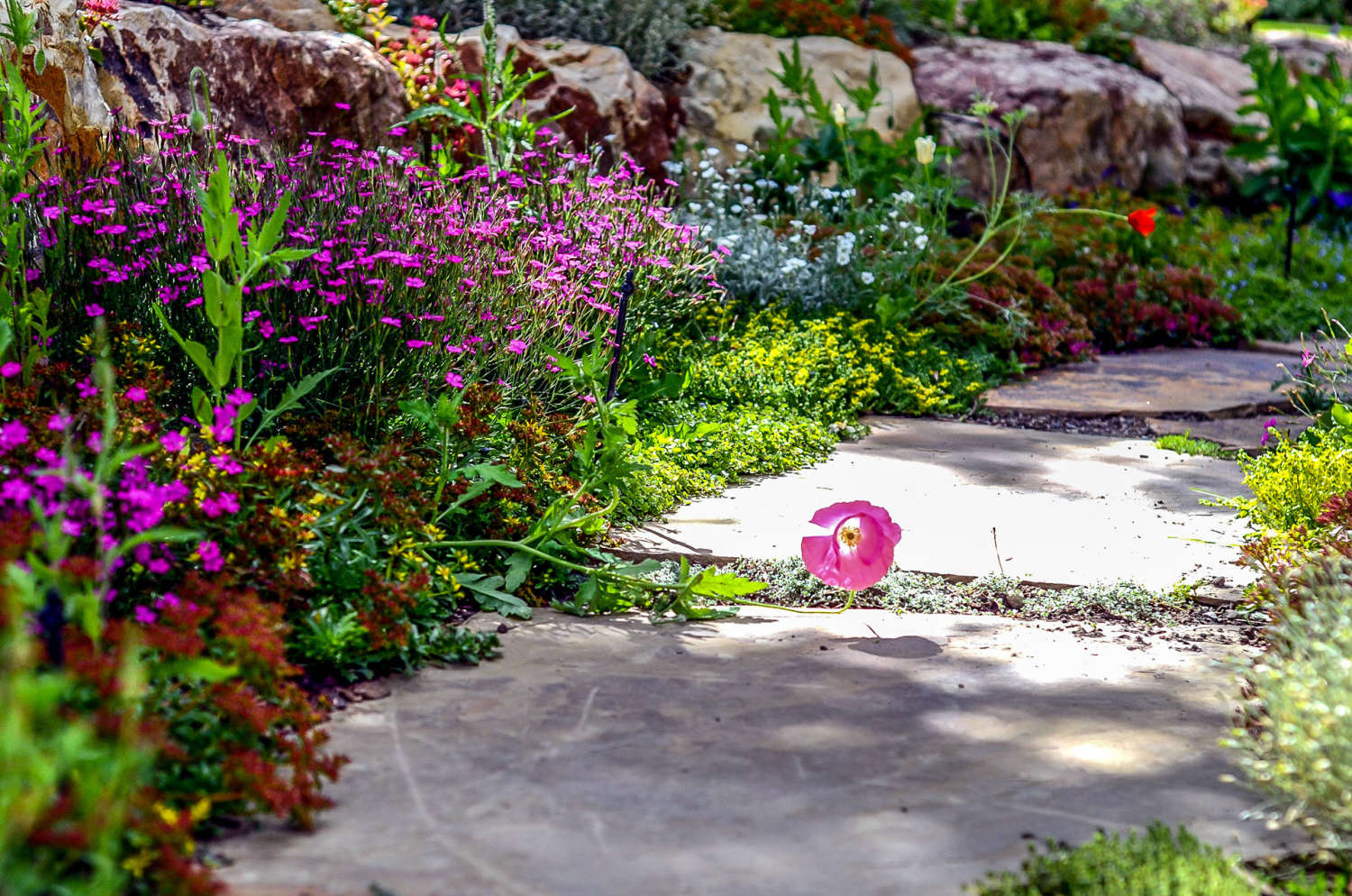 Crested Butte Landcaping - Keep it Green Landscaping