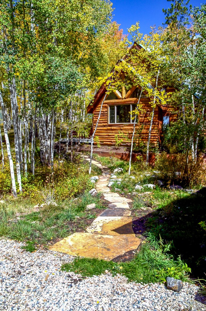 Crested Butte Wildscapes